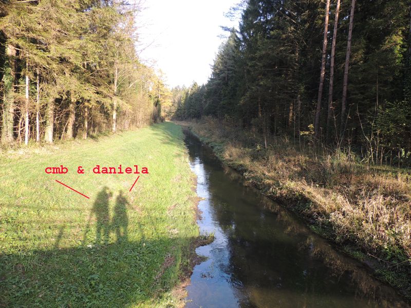 ID: Aeshna cyanea da Feldkirch Bangs